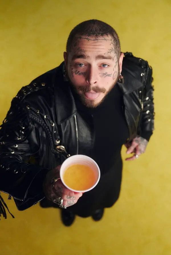 Post Malone Net Worth Biography Wiki Career Facts Online Hot Sex Picture